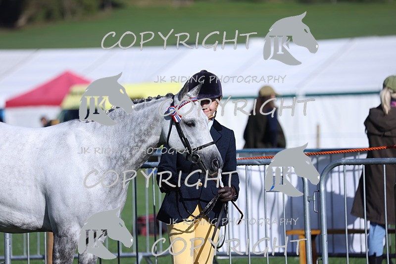 APP_2530 - Class 18 Young Handler