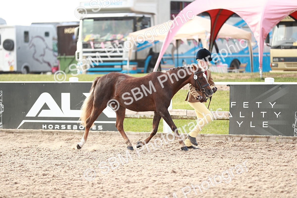 SBM_10505 - Class 204 Young Handler, 11-16 years
