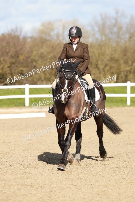 20260314-4453 - DR4 - Prelim 2