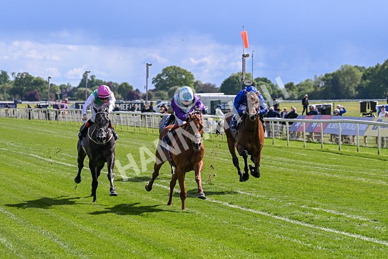 140526-Race 4-See The Fire-5155 - Race 4 3.30pm Al Basti Equiworld Dubai Middleton Fillies' Stakes