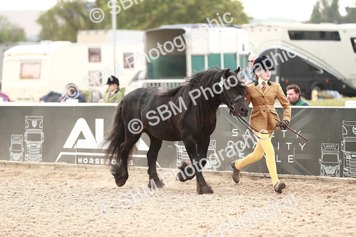 SBM_12462 - Class 207 IH M&M