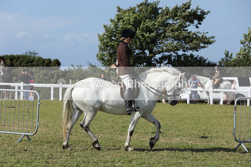 1X9A5909 - Class 41:. NPS New Forest & Connemara