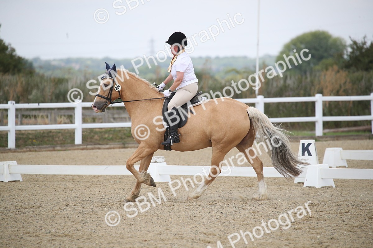 SBM_008202 - Novice 5 - 10.56-13.12