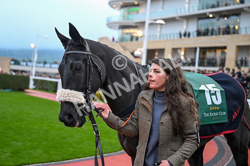 151125-Race 7-Shinealight-4251 - Race 7