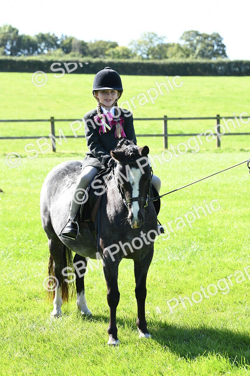 SBM_39651 - S18 - Novice & Newcomers Lead Rein Pony