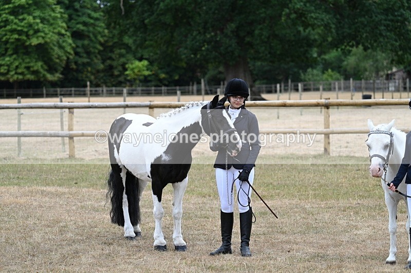 WJ7_8298 - Class 4 Prettiest Mare up to 14.2hh