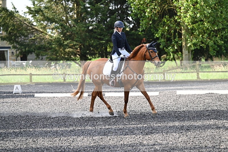 WJ7_7925 - Time 10:11 to 10:27