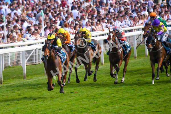 270523-Race 5-Starnberg-0761 - Race 5 3.50pm William Hill Extra Place Races Daily Handicap