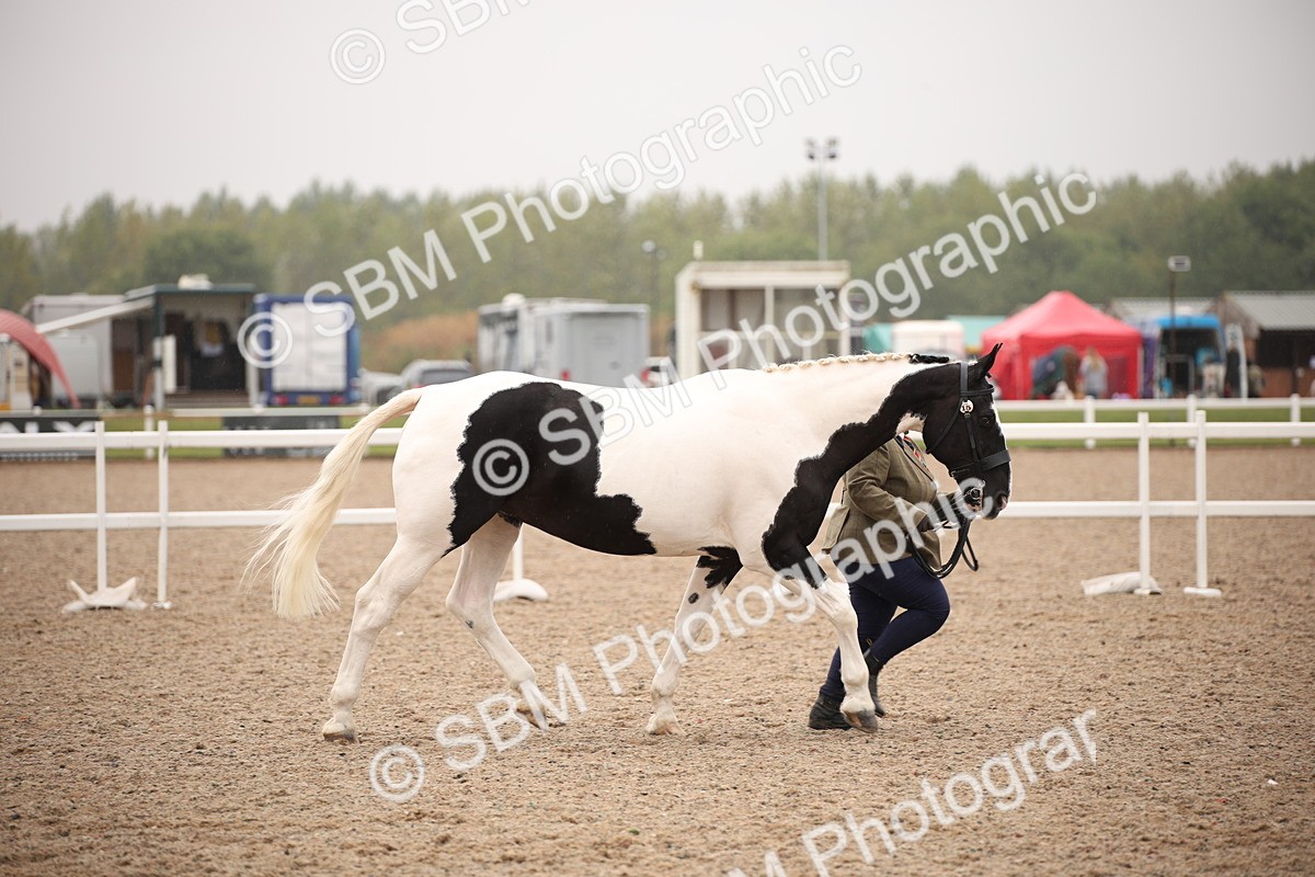 SBM_20167 - Class 703 - IH  Coloured