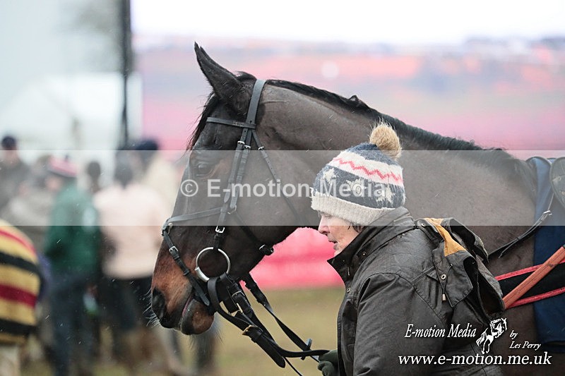PtP 260125 799 - Cocklebarrow Point-to-Point racing with the Heythrop Hunt 26/01/25