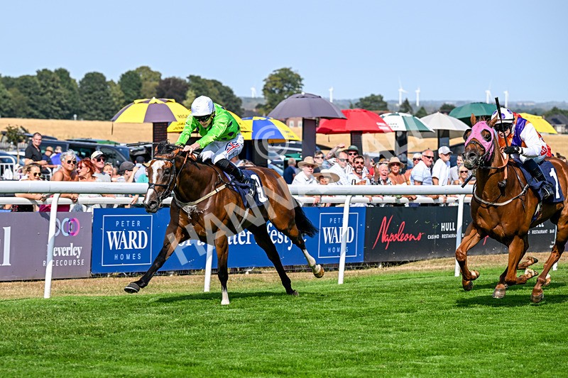 130826-Race 4-Shazani-9091 - Race 4 15.45pm Connexin Super Fast Sprint Handicap