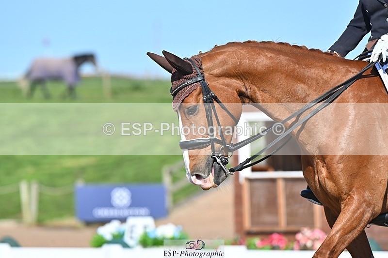 250405-144925-11357 - 163-Jane.Morris-Silverstar.Z