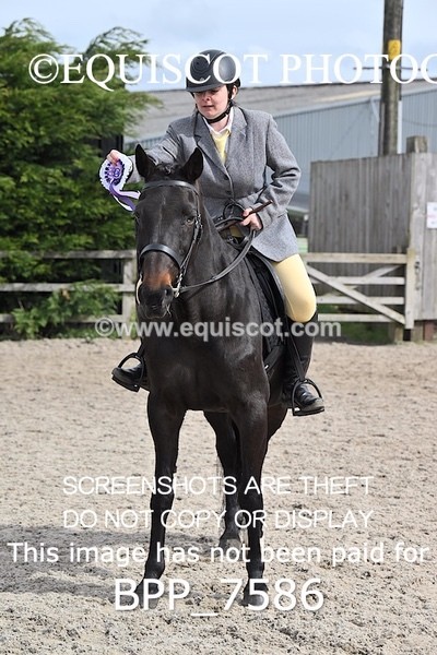 BPP_7586 - RING 1  (RIDDEN HORSES / IN HAND / VETERAN ETC)