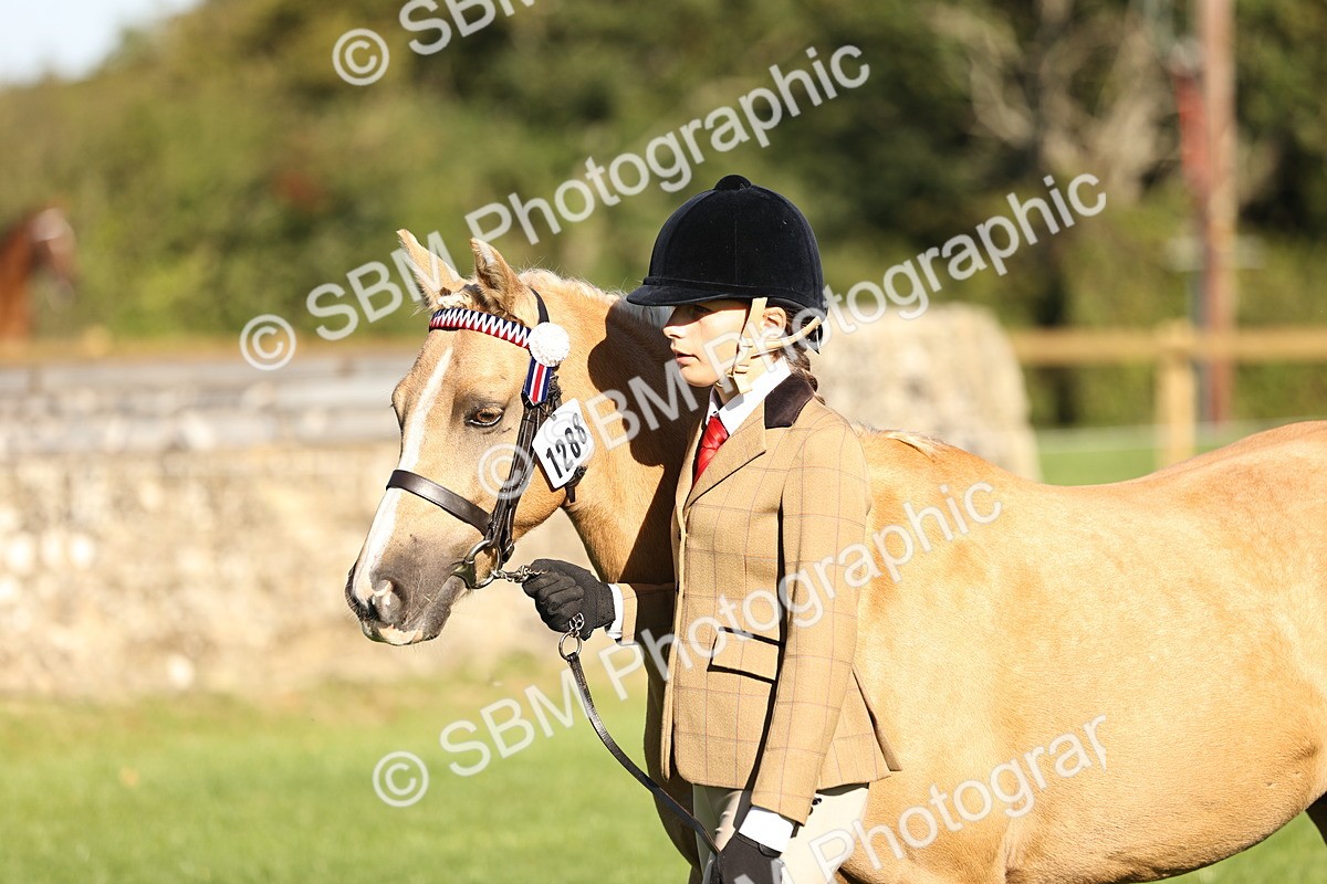 SBM_15806 - S1 - TSR in Hand Horse & Pony Showing