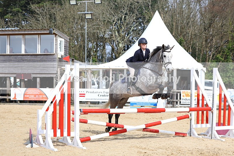 3E7A6790 - Class 4: Senior British Novice/90cm open