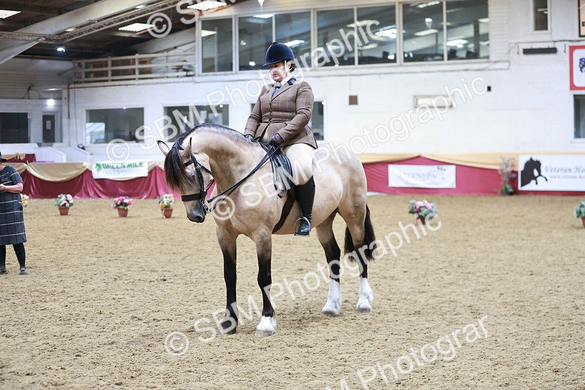 SBM_09013 - Class 12R - Regional Ridden Pre-Vet