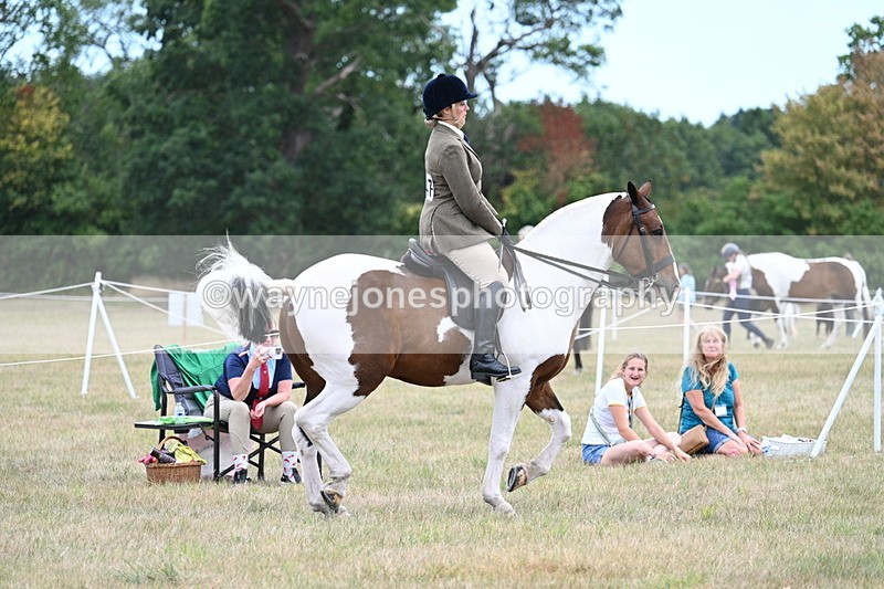 WJ7_4904 - Class 12 Ridden Cob