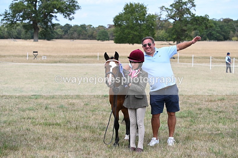 WJ6_6263 - Class 19 In-hand Veterans (Uploaded correct folder)