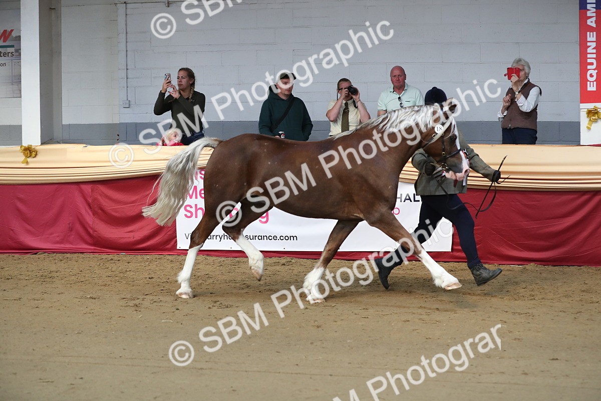 SBM_01405 - Class 3a Area IH Pre Vet