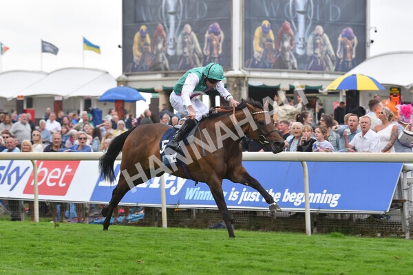 yr18082022r5-29 - Race 5 4.10pm British EBF & Sir Henry Cecil Galtres Stakes