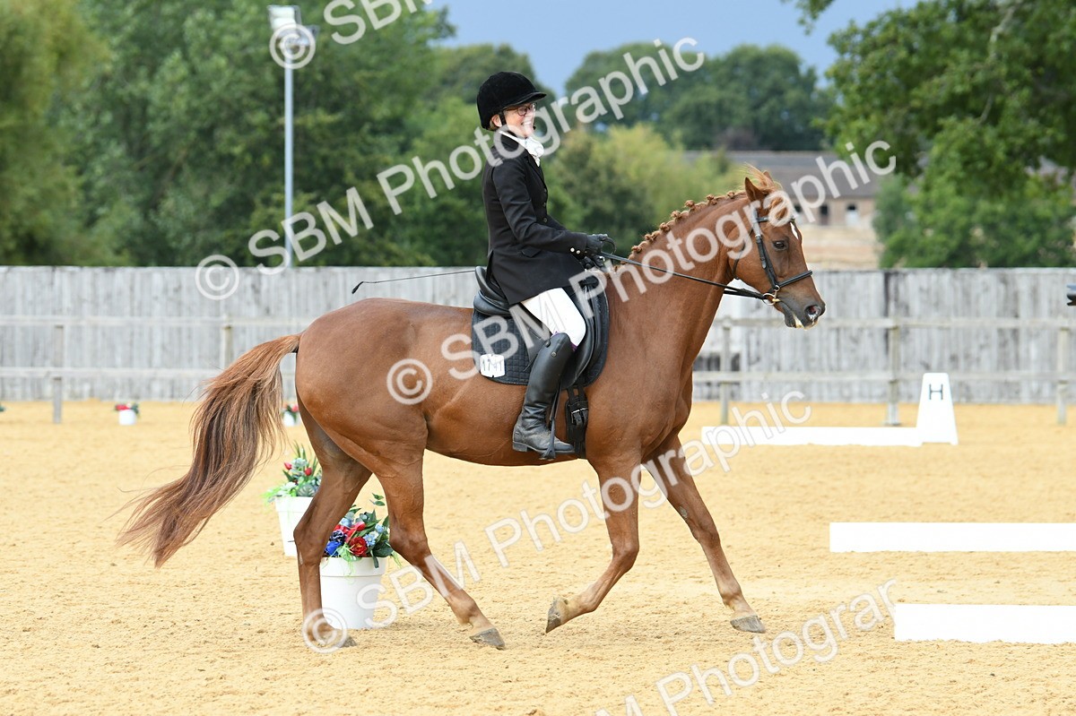 SBM_10976 - D28 Elementary Taster Elementary 42