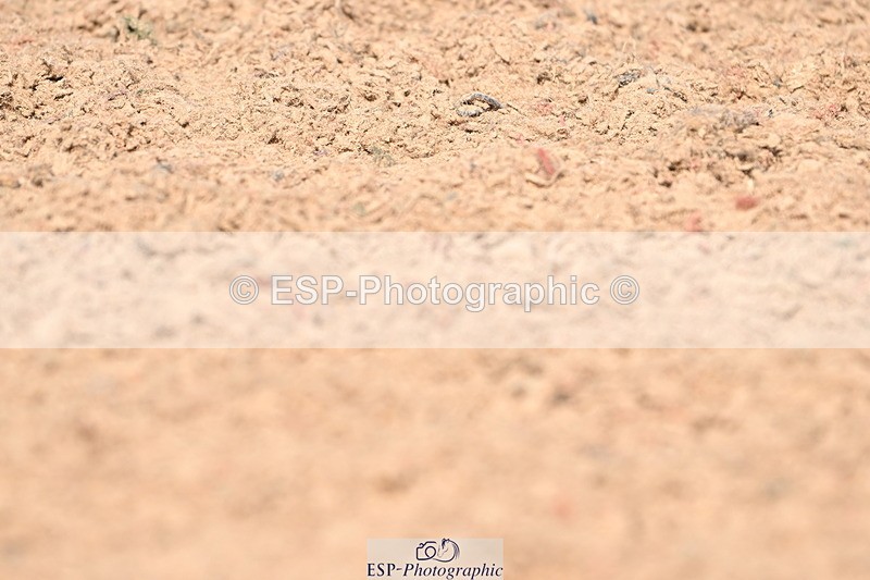 240324A-125312-02416 - Novice 28, 12.15 to 13.00