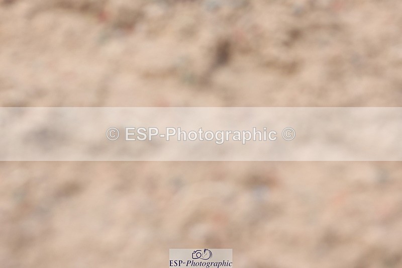 240706A-140753-02981 - Cls 8A Snr RT Prelim 12 Start to 14.30 break