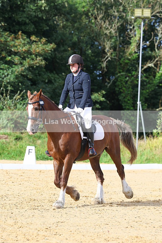 3E7A2277 - Class 1: Intro 4 2024 section A