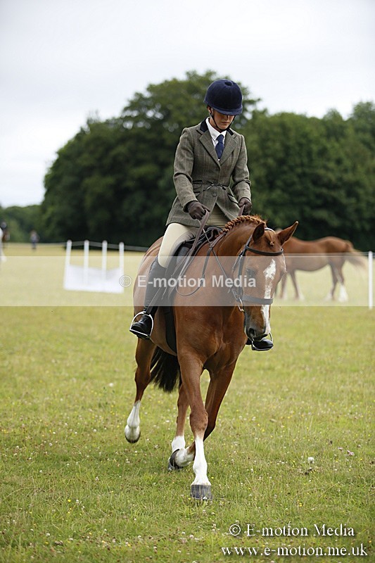 BVR160717-283 - Ring 1 BVRC Show 16/07/17