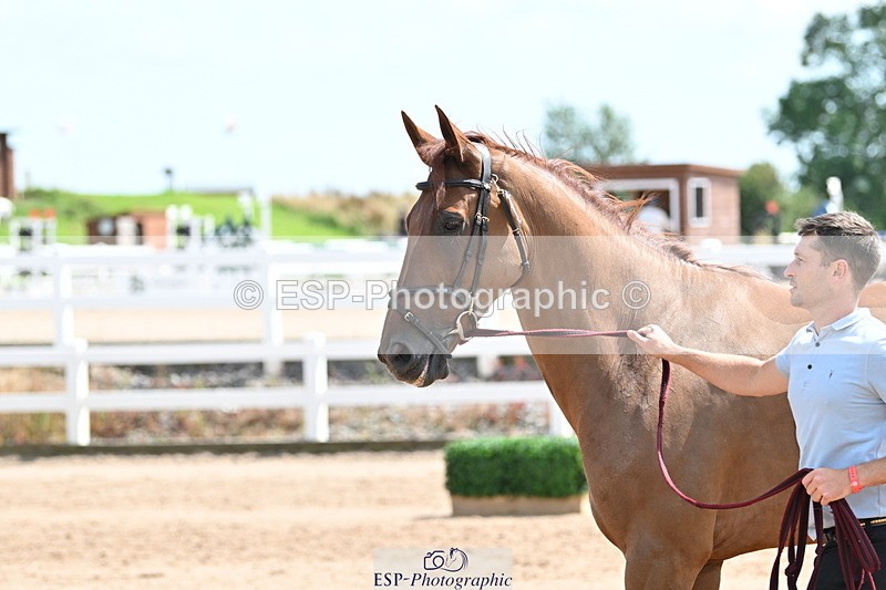 240717A-150004-02422 - Trot Up 3pm to 4pm