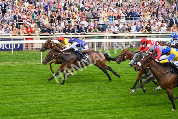 250725-Race 1-Pressures On - Quest For Fun-5361 - Race 1 5.30pm eventmasters.co.uk Handicap