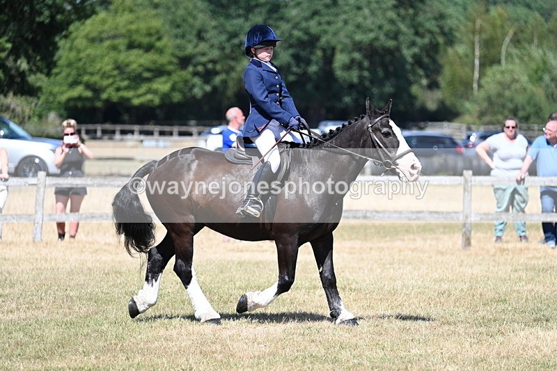 WJ7_3703 - Class 8 Ridden Veterans