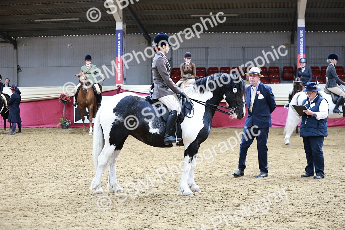 SBM_03645 - Class 6A Area Ridden Pre-Vet