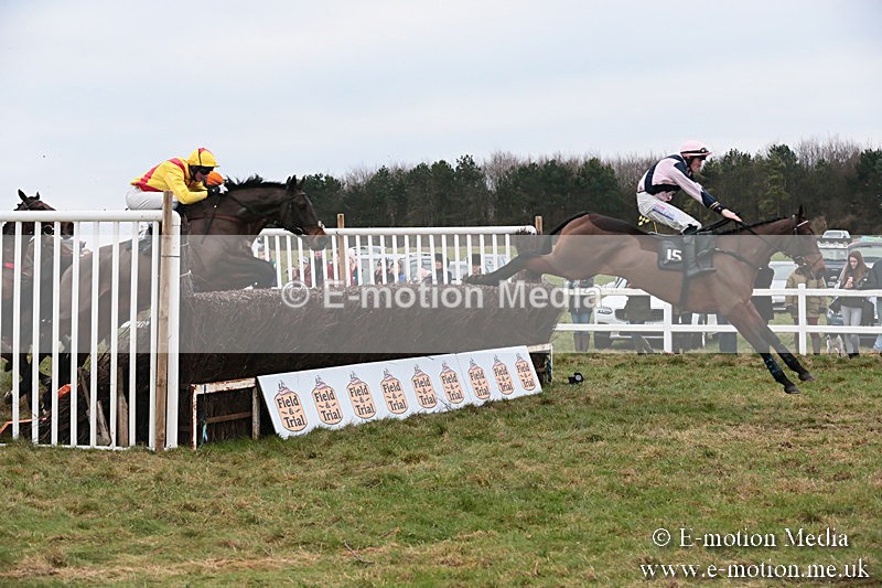 PtP 060119 460 - Larkhill Racing Club - Point-to-Point- 06/01/2019