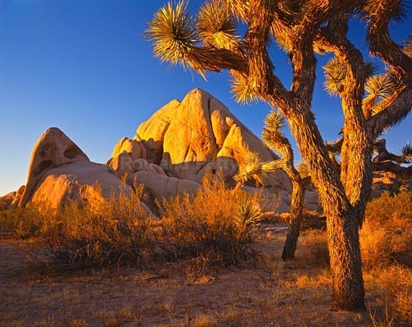 Istock #18954671 - Southwest Deserts