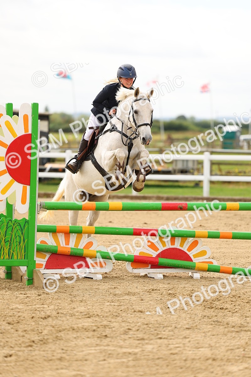 SBM_009085 - Class 1 - Senior British Novice - 90cm Open
