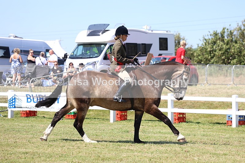 3E7A7514 - Rising Star Ridden Championship