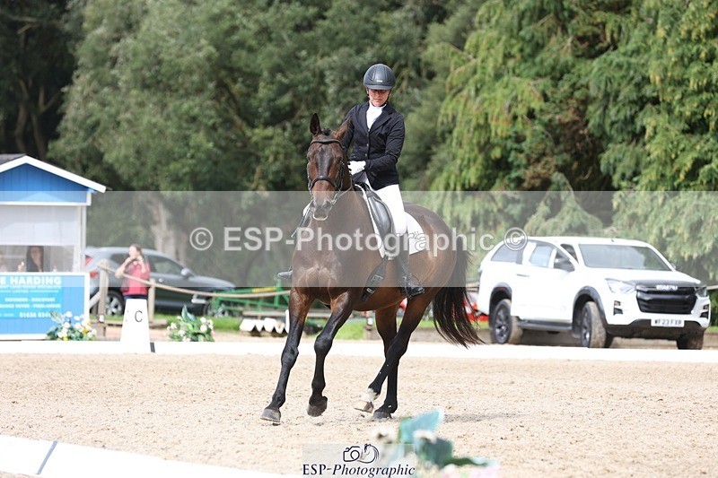 230812-153321-05163 - Cls 5 Novice Bronze 15.00 to End