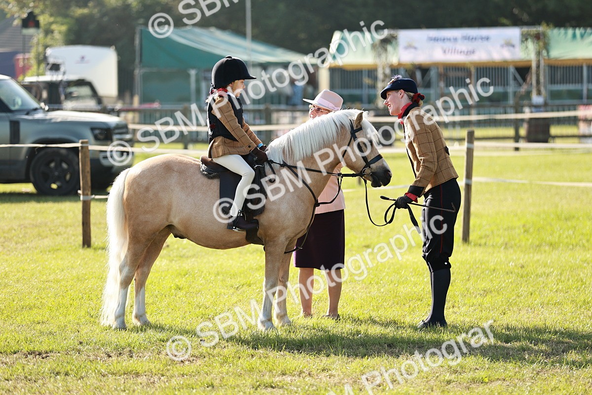 SBM_11115 - Class 106-107 - BSPS LIHS Working Sports Pony