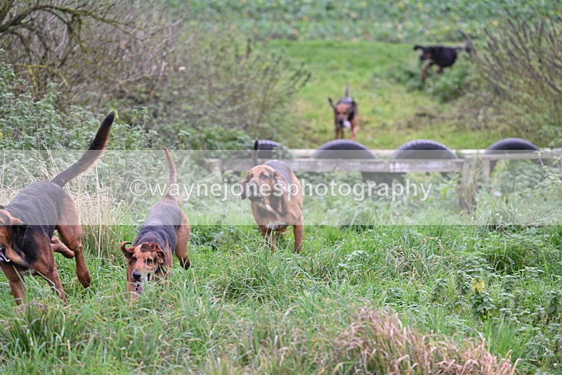 WJ7_8931 - Camera 1 only on this line