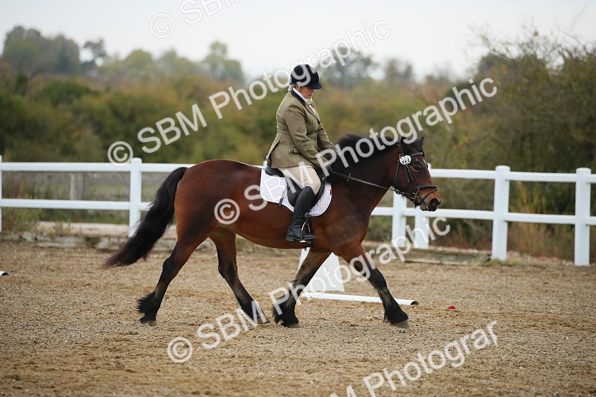 SBM_000288 - Intro 1