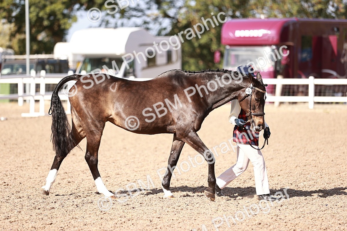 SBM_22759 - Class 705 - IH Combination 65+