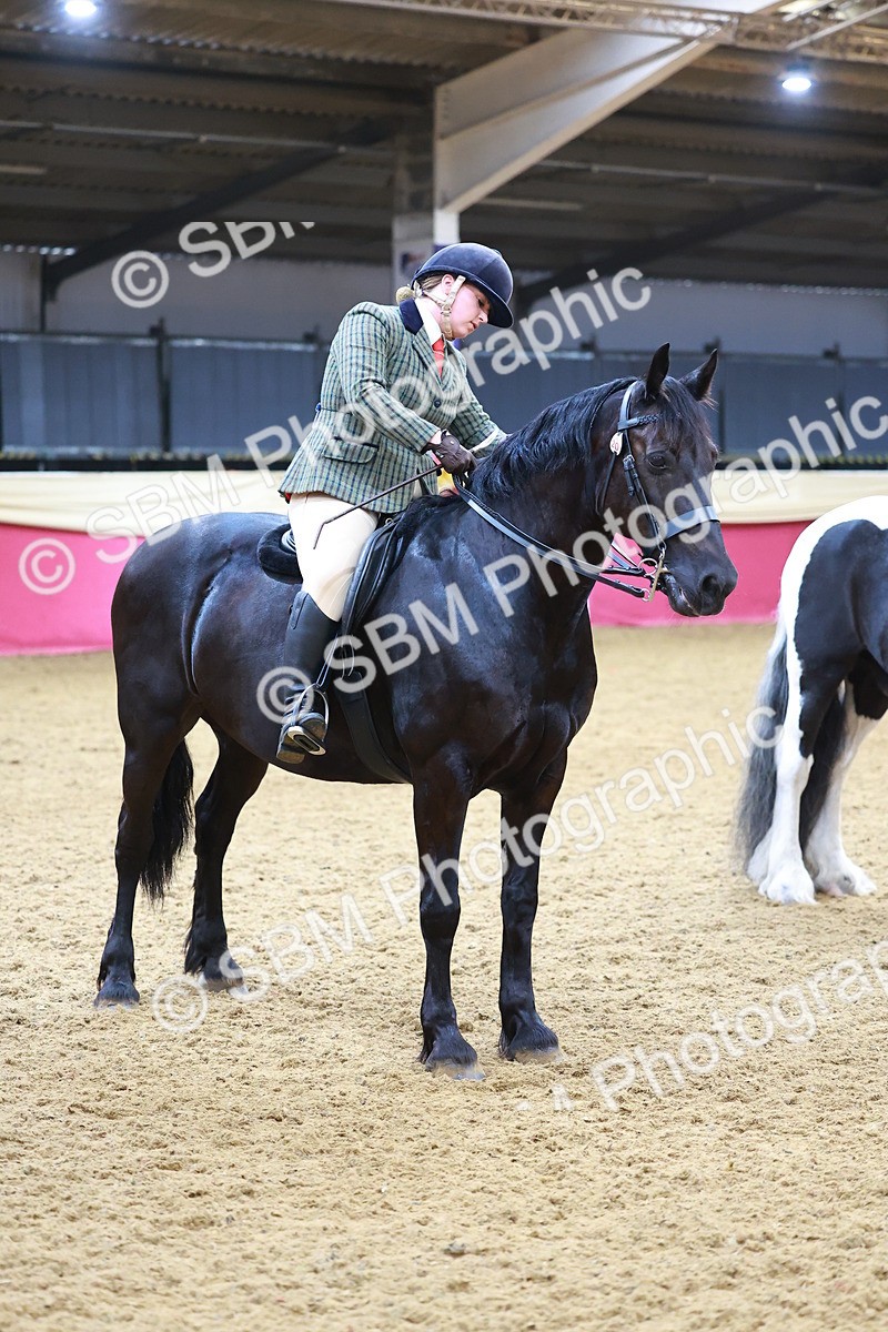 SBM_09824 - Class 102 - HOYS Veteran Qualifier - Ridden Veteran