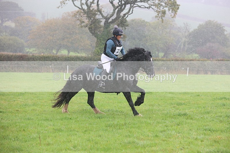 JPP_5031 - Class 1: 65cm : Showjumping