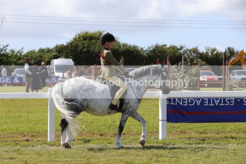 1X9A5380 - Class 37: NPS M&M First Ridden
