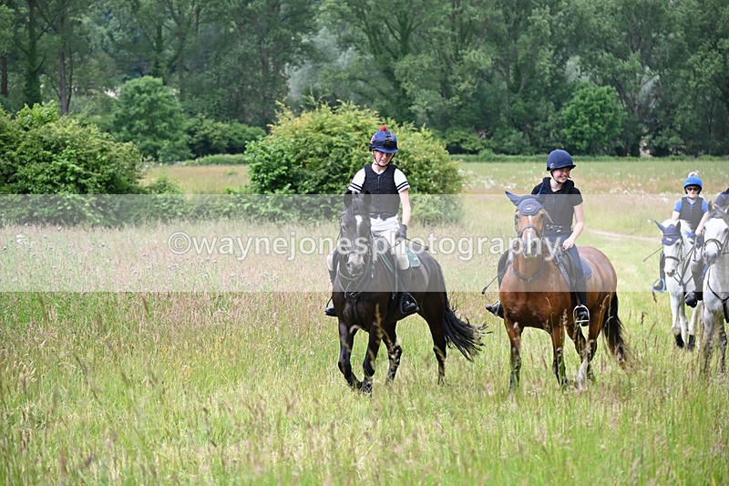 WJ6_7920 - Camera 1 Gallops