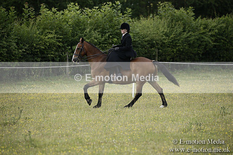 BVR160717-1648 - Side Saddle Classes 16/07/17