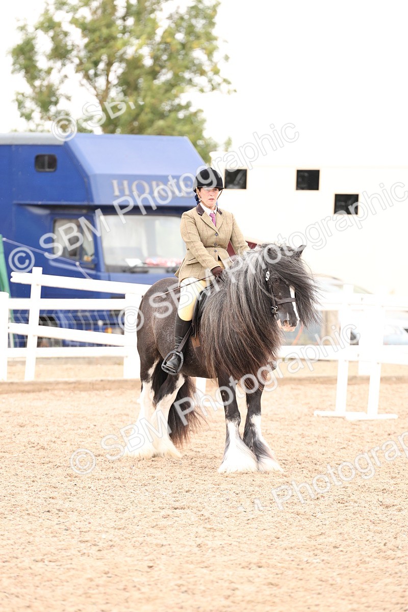 SBM_19720 - Class 216 - Ridden Traditional - Native Cob
