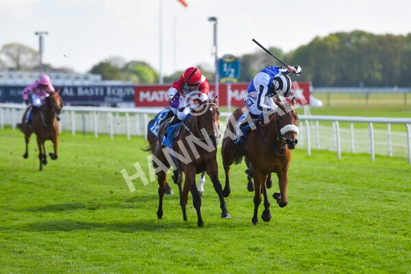 yr13052021r7-32 - Race 7 4.50pm Autohorn Stakes