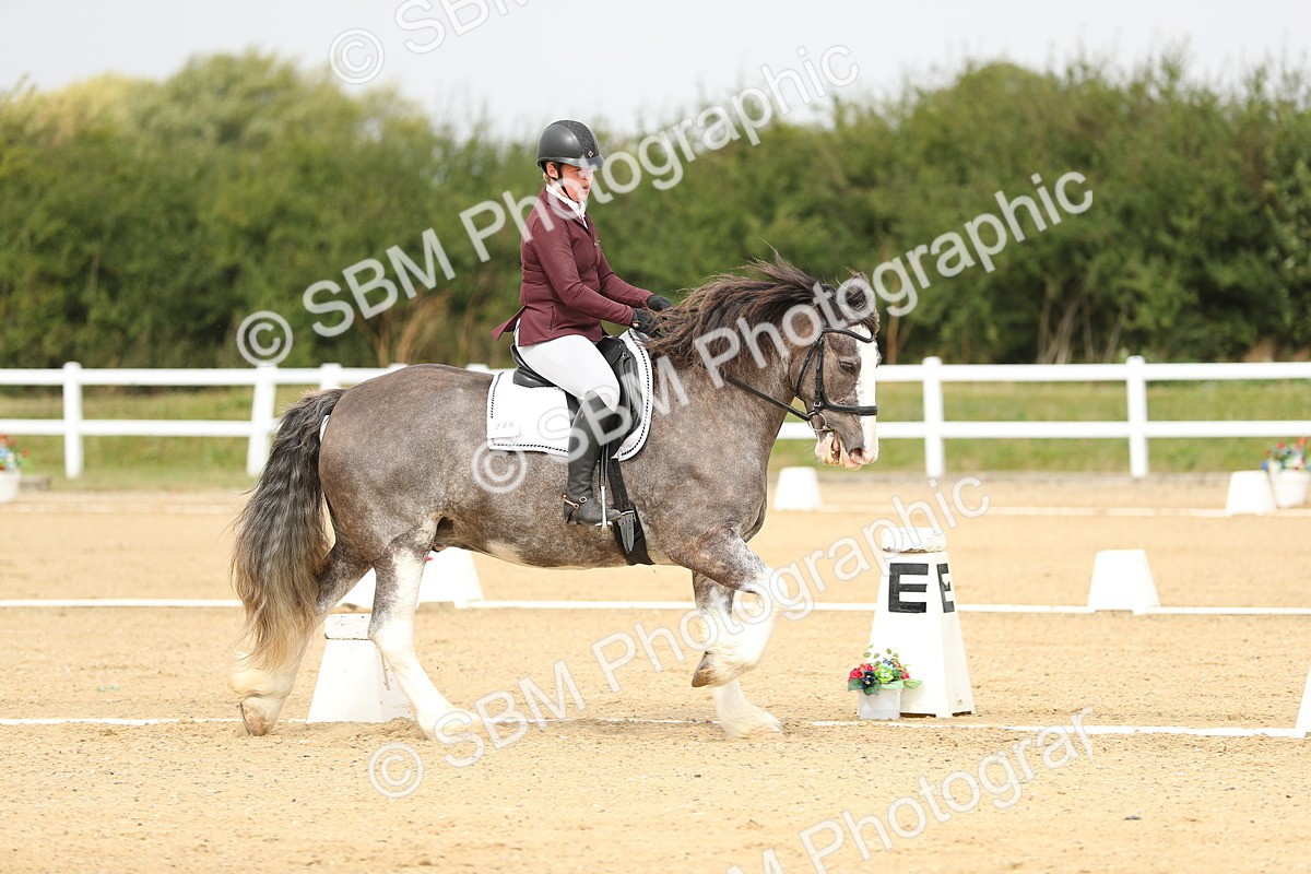 SBM_017315 - Class 13 - Novice 23 - 13.31-14.13